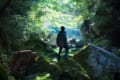 まるで映画!ファンタジー世界に迷い込んだような森の風景写真がすごい