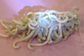 【ジョーク】さすがうどん県!香川で野生のうどんが発見される【創作アート】
