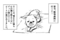 こんな事、二度と起こって欲しくない…大切な家族を“被害者”にも“加害者”にもしない為に『犬には必ずリードを』