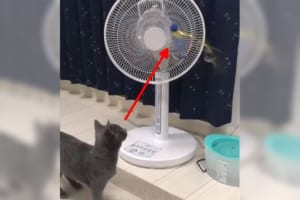 テンションアゲアゲで遊ぶのかな～♪って思ったら…予想外の反応をされてしまった