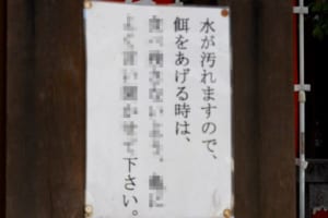 可愛くてちょっと笑える！亀さんの側に掲示された貼り紙の言葉がユニークすぎた