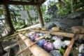カラフルで涼しげ~!御裳神社の手水舎に浮かぶ紫陽花がめちゃくちゃキレイ
