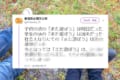 子供の頃の『また遊ぼう』は明日だった。大人になるにつれて変化するその意味に共感