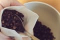 目からウロコ!チャイで使われるあのスパイスが「ゴキブリ除け」に抜群だとらしい!