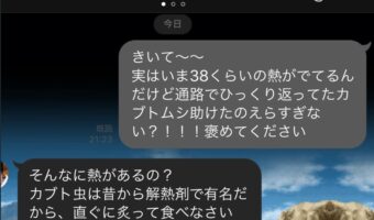 【父からの迷言】「カブトムシを助けた」と父にメールを送ったら父からの返信が斜め上すぎた！