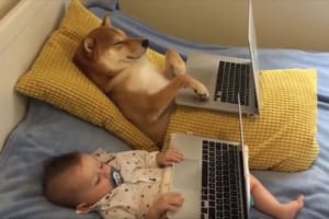 ベッドで映画を観たり抱き合ったりする、仲良しの赤ちゃんとワンコが微笑ましい♪