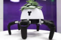 光合成のために日向へ歩き、水が足りないとプンプン怒る！植物をお世話するロボットが誕生！