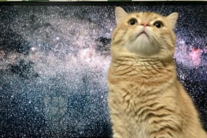 壮大感ハンパない！テレビに映る宇宙のせいで合成写真みたいになっちゃった！