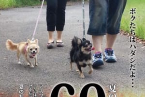 「ボクたちはハダシだよ…」炎天下で散歩する愛犬たちのために作られたポスターが話題に