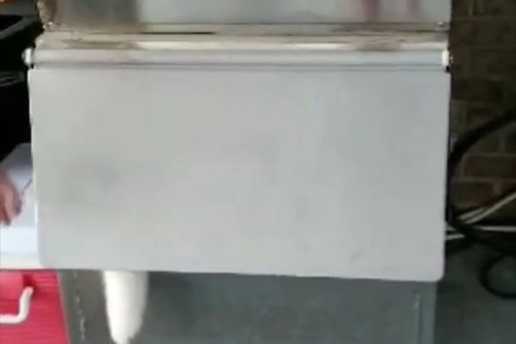 ん…?製氷機から何かがはみ出している!そういえば暑がっていたワンコが見当たらないぞ