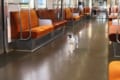 駅に住みついている野良猫が間違えて電車に乗っちゃった♪ ほのぼのハプニングが話題に！