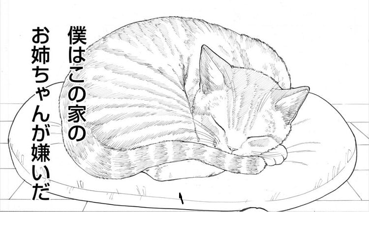 【漫画】構いすぎな飼い主にクギを刺すための、猫のドッキリ対応！人間の反応は…