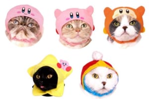 可愛すぎてズルい…♡人気シリーズ「ねこのかぶりもの」と「星のカービィ」のコラボ商品が誕生