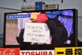 「まけるもんかにほん」被災地に向けたつば九郎からのメッセージに元気と涙が出る