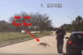 【動画】地球外生命体か?巨大なクモが出現!背後から迫られる警察官の映像