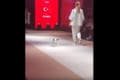 これぞ本当のキャットウォーク!ファッションショーに侵入してきた猫ちゃんが可愛すぎ