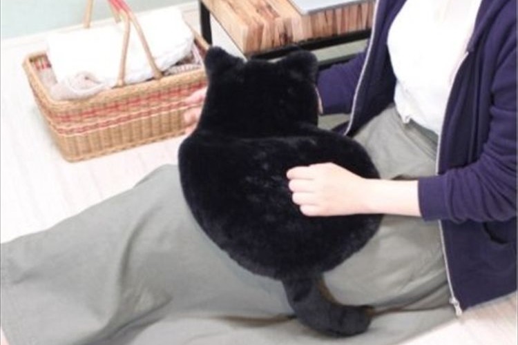 ヒザの上にニャンコをのせているようなあたたかさ!ユニークなブランケットが登場!