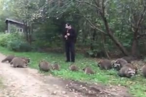 笛を吹くと、どこからともなくアライグマが集まってきた！童話のようなシーンが話題に