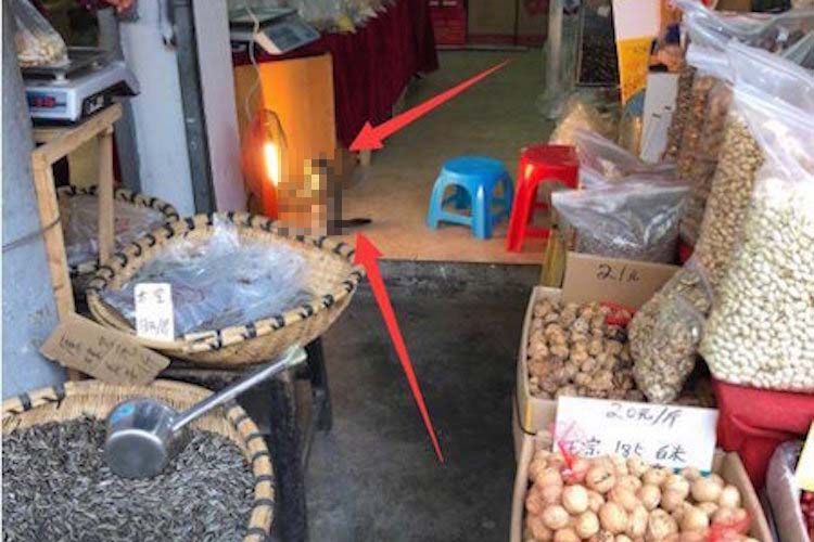 まるで人間みたい!中国の食料品店で撮られた猫の写真がなんだかメルヘンで癒される