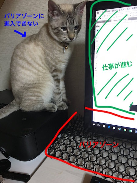 もっと構ってにゃ Pcを使うと邪魔してくるニャンコに 猫よけ を敷いてみたら Fundo