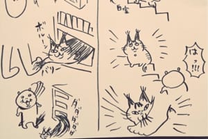 シュールで理不尽な猫と飼い主さんとの日常…一方的にやられても飼い猫への愛は永遠