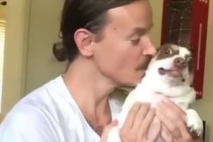 飼い主にキスされたワンコ…みるみる表情が変わり、すごい顔になっちゃった