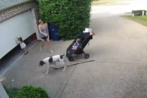 次から次へと問題勃発！駐車場のシャッターを開けるのも一苦労！？幼い子をもつ母親の大変さが伝わる