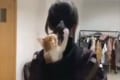フードの中に入っているニャンコが女性の髪に猫パンチを連打!まるでボクサーのようだと話題に