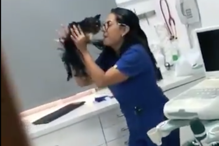 猫ちゃんを抱きかかえてダンシ~ング♪動物愛あふれる獣医さんの姿がステキ
