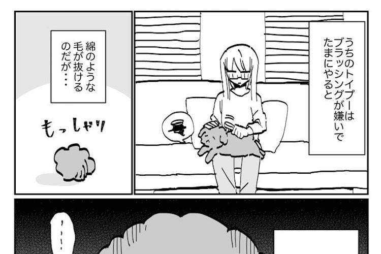 犬も人間と一緒？抜け毛を気にしているトイプードルを描いた漫画がかわいいと話題に