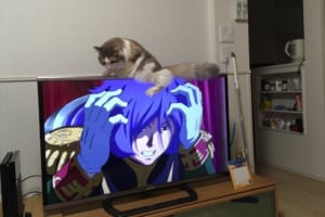 「二ャア！謀ったな！二ャアアアァーー！」猫の動きがアニメとリンクしていて面白い