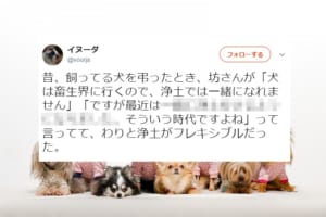 浄土って意外とフレキシブル！？お坊さんの語る「今時の浄土」のビックリ事情が面白い