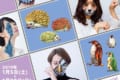 超リアルなボディペインティングが見られる!チョーヒカル「超動物展SP」