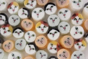 うちの猫の顔がキャンディに？限定販売の「猫MIXキャンディ」の絵柄を大募集！