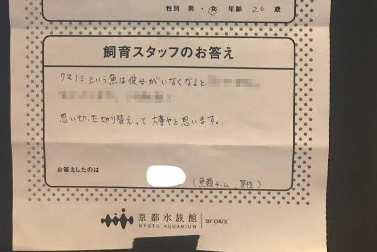 斬新だな…(笑)京都水族館が『恋愛相談』にアンサーするとこうなる!