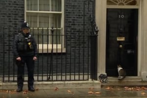 「扉を開けてほしいニャン」イギリスの首相官邸に住むニャンコと警察官の空気感が微笑ましい♪