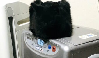 え？ストーブの上にメーテルの帽子！？と思ったら、まさかの正体に笑った！