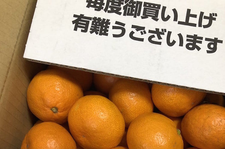 普通に箱を開けたらダメ！？みかんの上手な取り扱い方の説明が斬新で笑える！