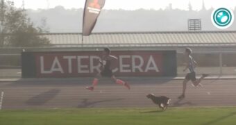 チリの陸上競技大会・400メートル走で犬が乱入するハプニング！なお、見事に優勝をかっさらう！