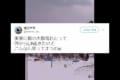 思ってたんとちゃう!(笑)「猿の大群現れた」と実家の母から送られてきた動画を見ると…