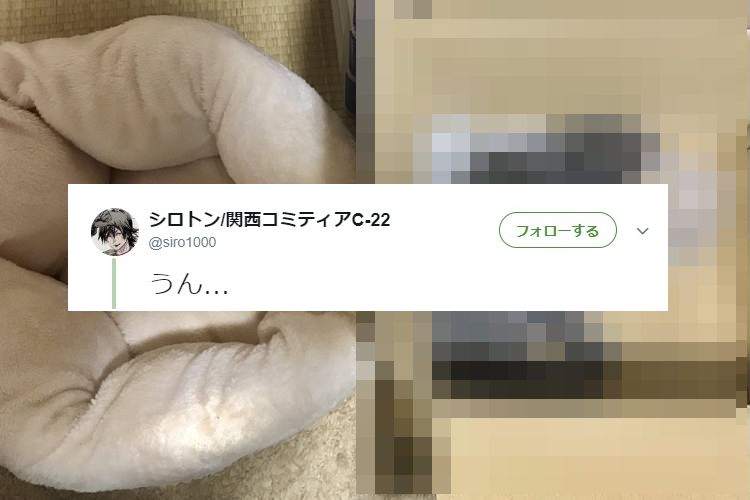 あっ…うん…だよね…。猫を飼っている人なら、痛いほど共感する1枚の画像