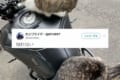 【帰れニャい】バイク乗りが出先から帰れなくなってしまった理由【仕方ニャい】