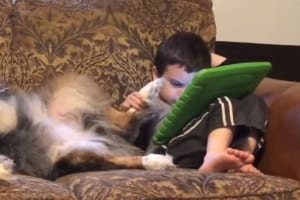 ワンコの肉球をタッチペンの代わりに使う子供…その時のワンコの表情はこうなった