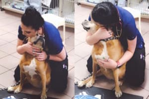 止血のため頸静脈を押さえた看護師、抱きしめられたと勘違いした老犬の姿に思わずほっこり