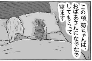 ほのぼのしよう！三毛猫の菊ちゃんと、おばあさんとの生活を描いた漫画「なでなでスヤスヤ」にほっこり！