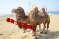 鳥取県ってどんなとこ?砂漠?島根?鳥取出身あるあるを紹介!