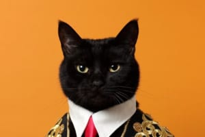 イケメン猫現る！闘牛士コスプレをした猫さんが凛々しすぎた