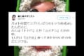 そう来たか!(笑)仲間うちで『ジブリしばりのキャラ弁対決』を開催したところ…