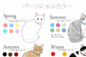 我が家のニャンコに似合うのは…？Twitter発『猫のパーソにゃルカラー』が話題に