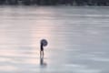 これは楽しそうだ!強風の日に傘を広げて凍った湖の上を滑る新しい競技!?一風変わったスケーターが話題に!